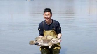 淡水魚全鏈發(fā)展獲省級激勵(lì)