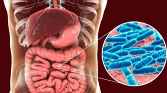 交友需謹(jǐn)慎！最新研究：你身邊的朋友會通過腸道菌群“改寫”你的基因