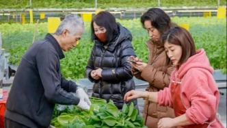 本周五啟幕！超全逛展購票攻略速速碼??！