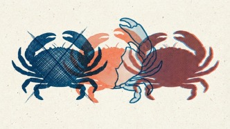 OpenClaw智能體開始構建自己的社交網(wǎng)絡