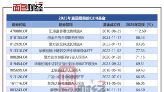 QDII基金2025年业绩透视：平均回报22.74%