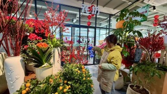 2026迎春花市“花漾”市集8日即將在西湖區(qū)同步開業(yè)