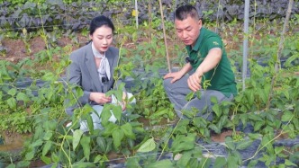 崖州區(qū)有個“博士村長”“智”援團(tuán)