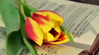 證明影片收益權是否需要完整的收益權鏈文件？（上）