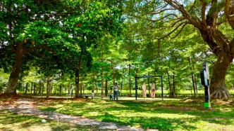 肇庆四会“含绿量”再提升，更绿更美了！