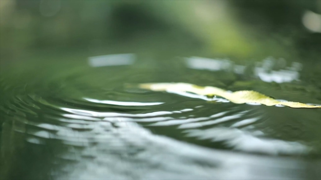 嶧州印象 | 春的第一次表達(dá)