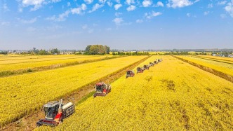 2026年中央一號文件，為何首次提出這個概念？