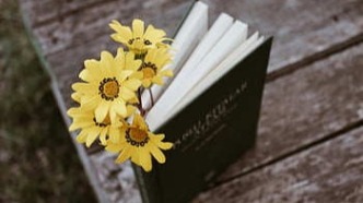 如何證明影片收益權(quán)的真實性？