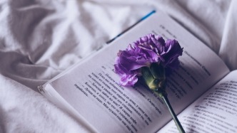 攝制、版權及宣發(fā)等“欺詐”元素對電影投資合同履行及解除的影響