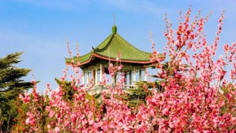 立春，接下來的山東長(zhǎng)這樣！