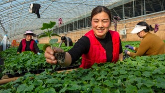 河南安阳：人勤春来早，立春农事忙 