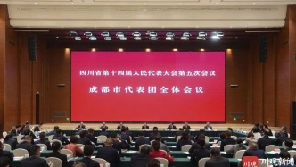 施小琳在參加成都代表團(tuán)審議時指出：在推動高質(zhì)量發(fā)展上跑出加速度干出新業(yè)績，更好發(fā)揮示范帶動作用、展現(xiàn)