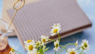 从影视公司在项目合作中被高管“坑”出发，谈损害公司利益责任