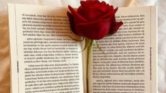 著作權(quán)法修改后，青年編劇的署名權(quán)是否還能被任意剝奪？（上篇）