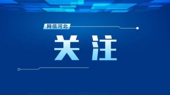 1356名！河北省直事业单位招聘公告来了