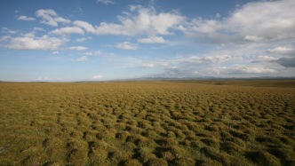 兰州大学研究人员发现空间自组织斑图提升了青藏高原高寒沼泽湿地生态系统韧性