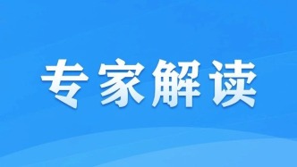 专家解读｜构建互联互通数字化服务体系，系统提升数字化服务国际化水平