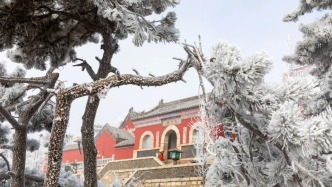 岱宗冬韵：雾锁琼枝，仙境入画