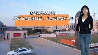 市值暴增590亿，锂矿巨头赣锋锂业，年净利暴增179%