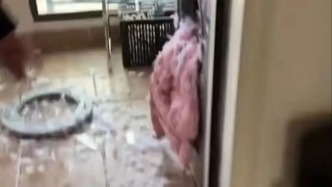 這款羽絨服，爆了