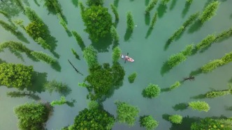 東西部協(xié)作|藏在武隆的濕地秘境→石橋鄉(xiāng)水上森林打卡全攻略！隨手拍都是靈秀大片