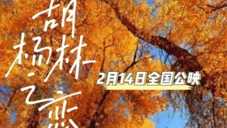 用生命最后一程，抵达爱情永恒之境——《胡杨林之恋》