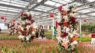 今日开幕！直至23日，明后天去品免费铁锅炖！