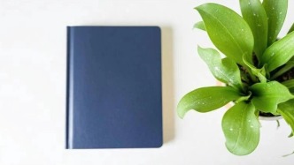 每个“奇思妙想”都被尊重和鼓励