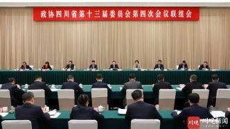 王曉暉參加省政協(xié)十三屆四次會議聯(lián)組會