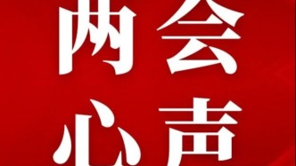 【同心话两会】成都市新的社会阶层人士在省两会