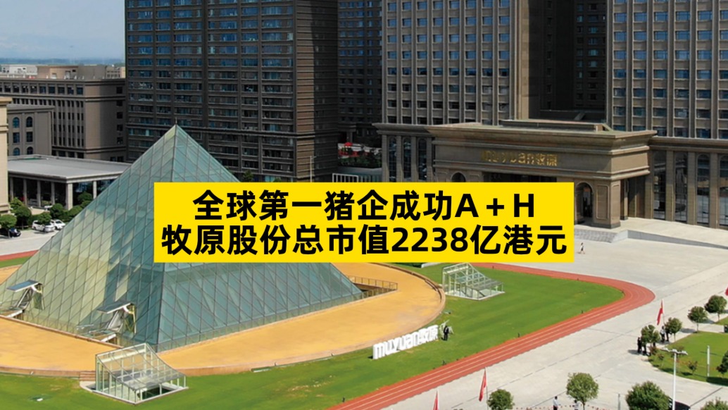 全球第一豬企成功A+H，牧原股份總市值2238億港元