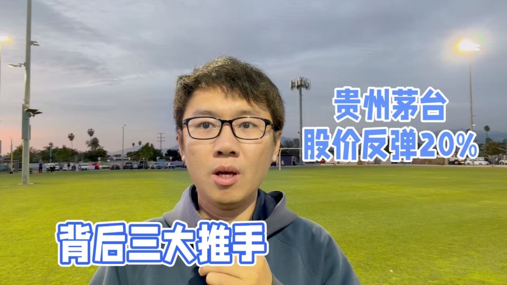 貴州茅臺(tái)上漲近20%，上漲背后的三大推手