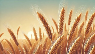 “小石頭”里的“大發(fā)現(xiàn)”