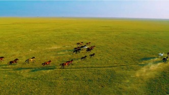 @電視劇生命樹（守護(hù)博拉木拉）守護(hù)博拉木拉的路上，蘭大人一直都在