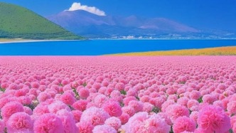 花的浪漫是它本身就是溫柔，花與海相遇即是緣