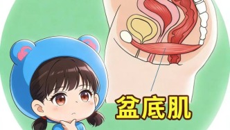 盆底肌：身体里的“隐形吊床”，你的健康守护者