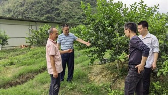 怀集，“土”专家越来越多了！