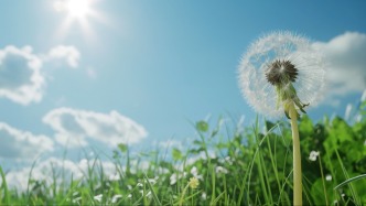 小竹林里的游戏大世界