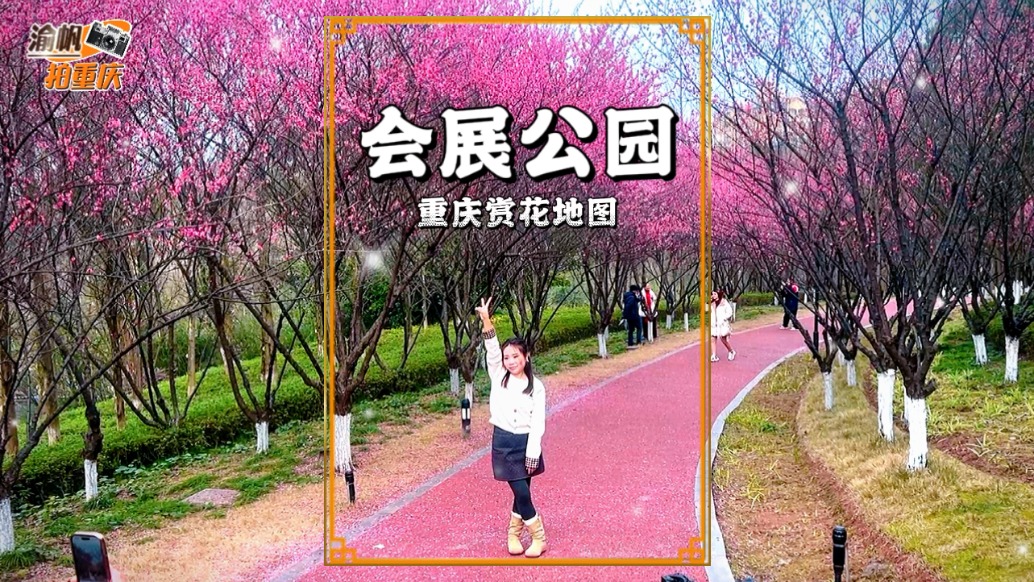 重慶賞花地圖：會(huì)展公園萬(wàn)株紅梅化作粉色長(zhǎng)廊，暗香浮動(dòng),拍照超美