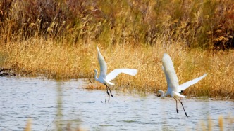 甘肃省生态环境厅财务人员在全国会计知识大赛中创出佳绩