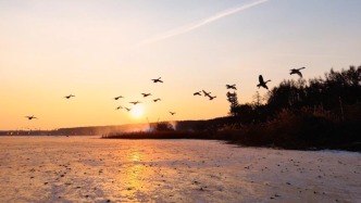 凈月潭冬日奇遇：闖入冰雪童話，與林間精靈撞個(gè)滿懷