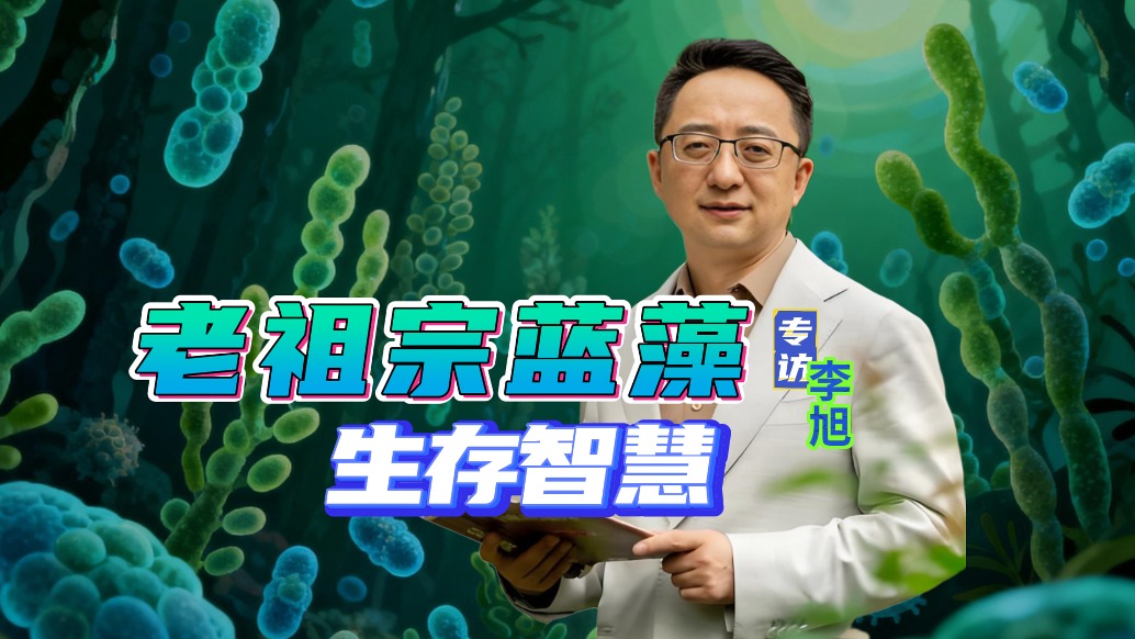 蓝藻活了35亿年，至今还能在你家门口的池塘蹦迪 | 专访李旭