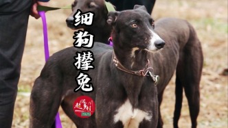 陕西农民冬天不猫冬，竟在麦田里搞“千年生死时速” | 中国人的年