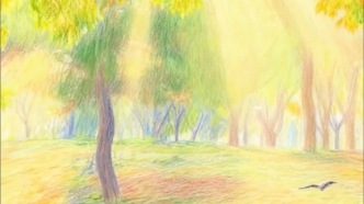 春节前大扫除，竟翻出一座城的四季