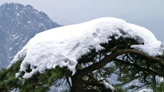 瑞雪不落別處