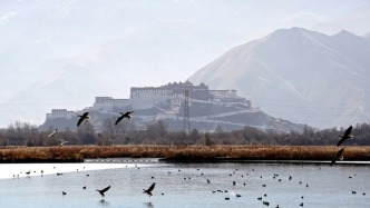 冬日來(lái)拉薩，怎能錯(cuò)過(guò)這片“城市之肺”？