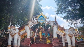 版納曼賀大佛寺：喧囂之外的心靈歸處