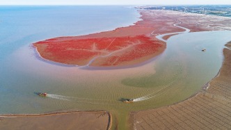 乘势而上明方向 笃行实干启新程——山东省东营生态环境监测中心召开2025年度述职述廉暨2026年工
