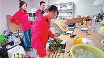 中国农业大学师生为中国花卉装上“中国芯”