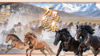 《万马骉春》启新程 央视新春特别节目解码中华马文化千年底蕴